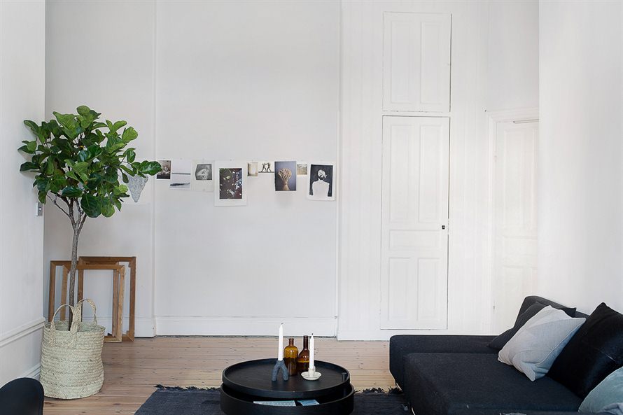 MO3 MO3