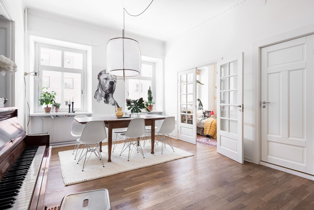 cg5 cg5