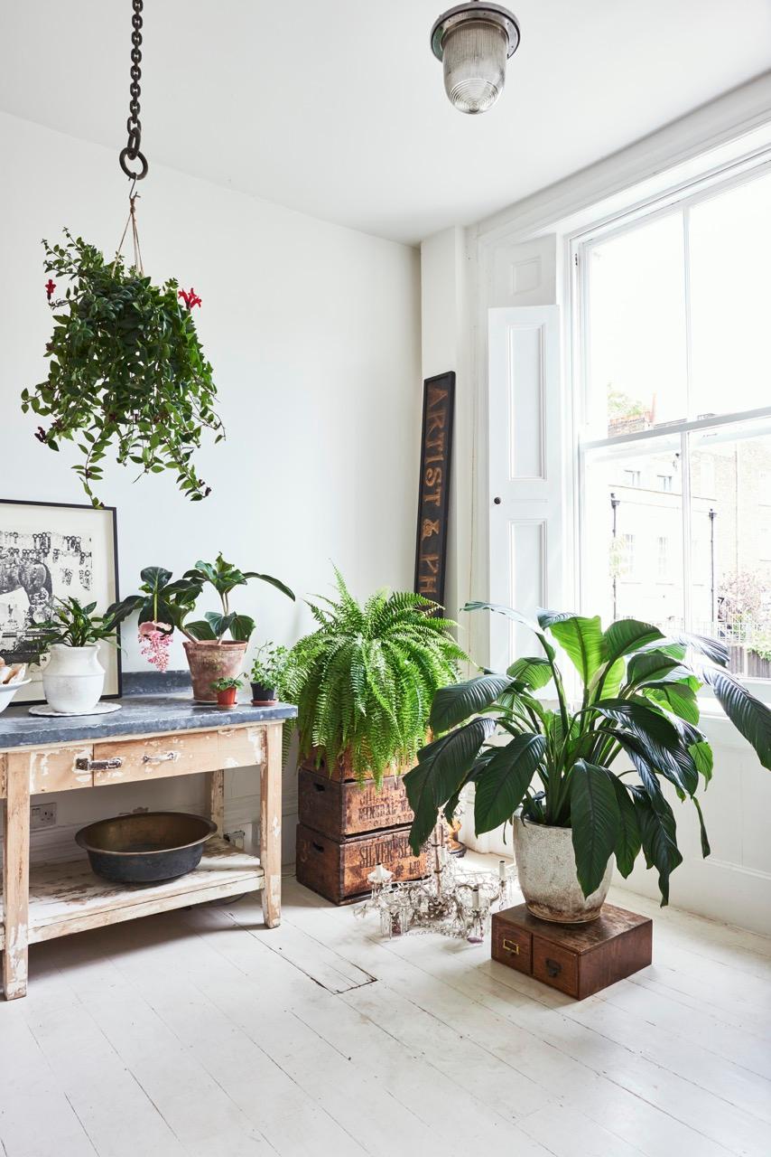 JJ8 JJ8
