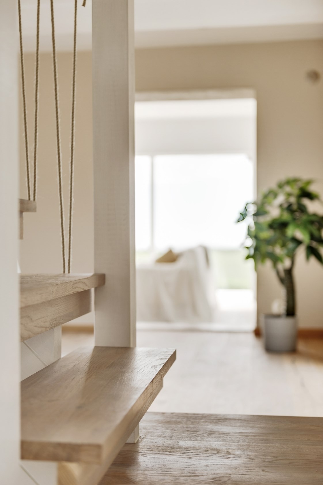 maison rénovée
