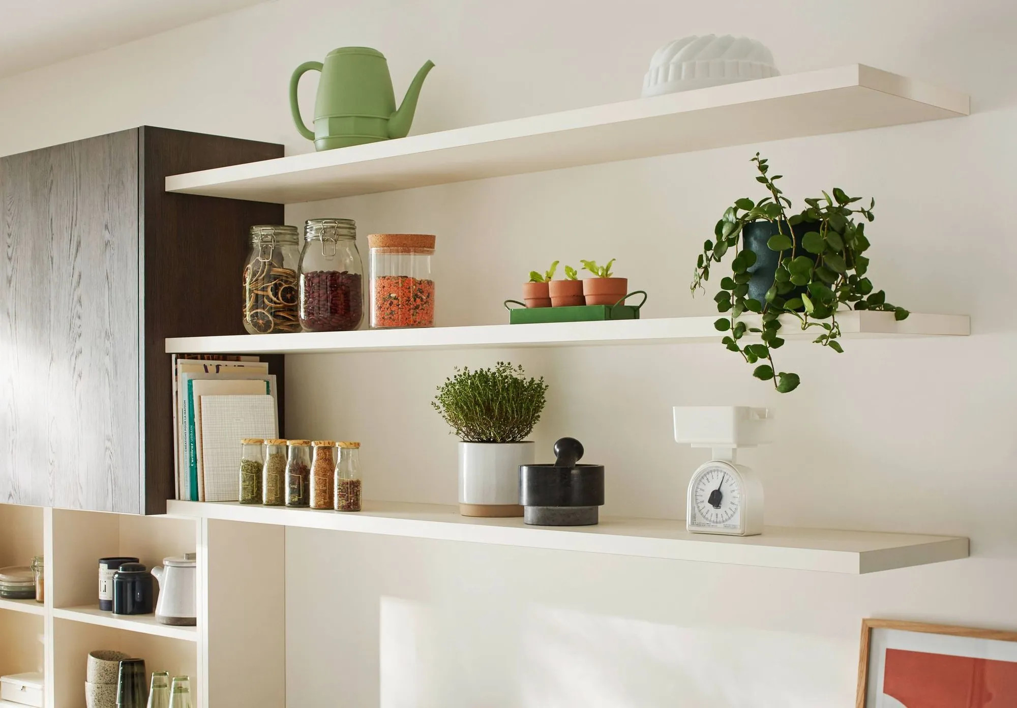 shelfie cuisine shelfie cuisine