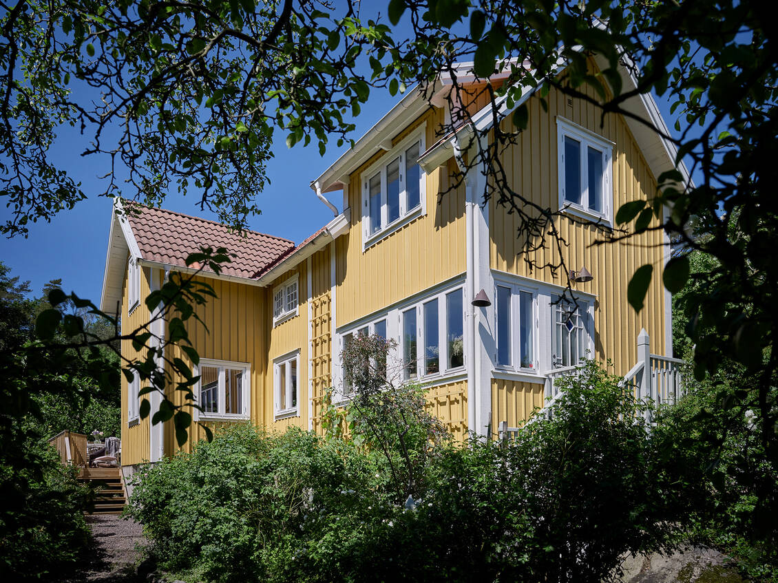 maison bois maison bois