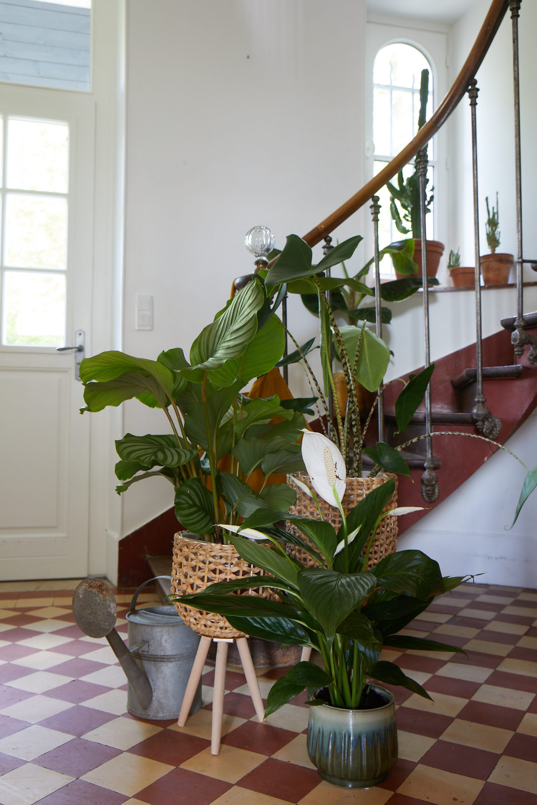 entrée sol à damier