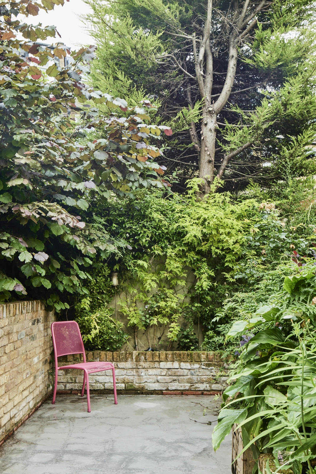 petit jardin de ville petit jardin de ville