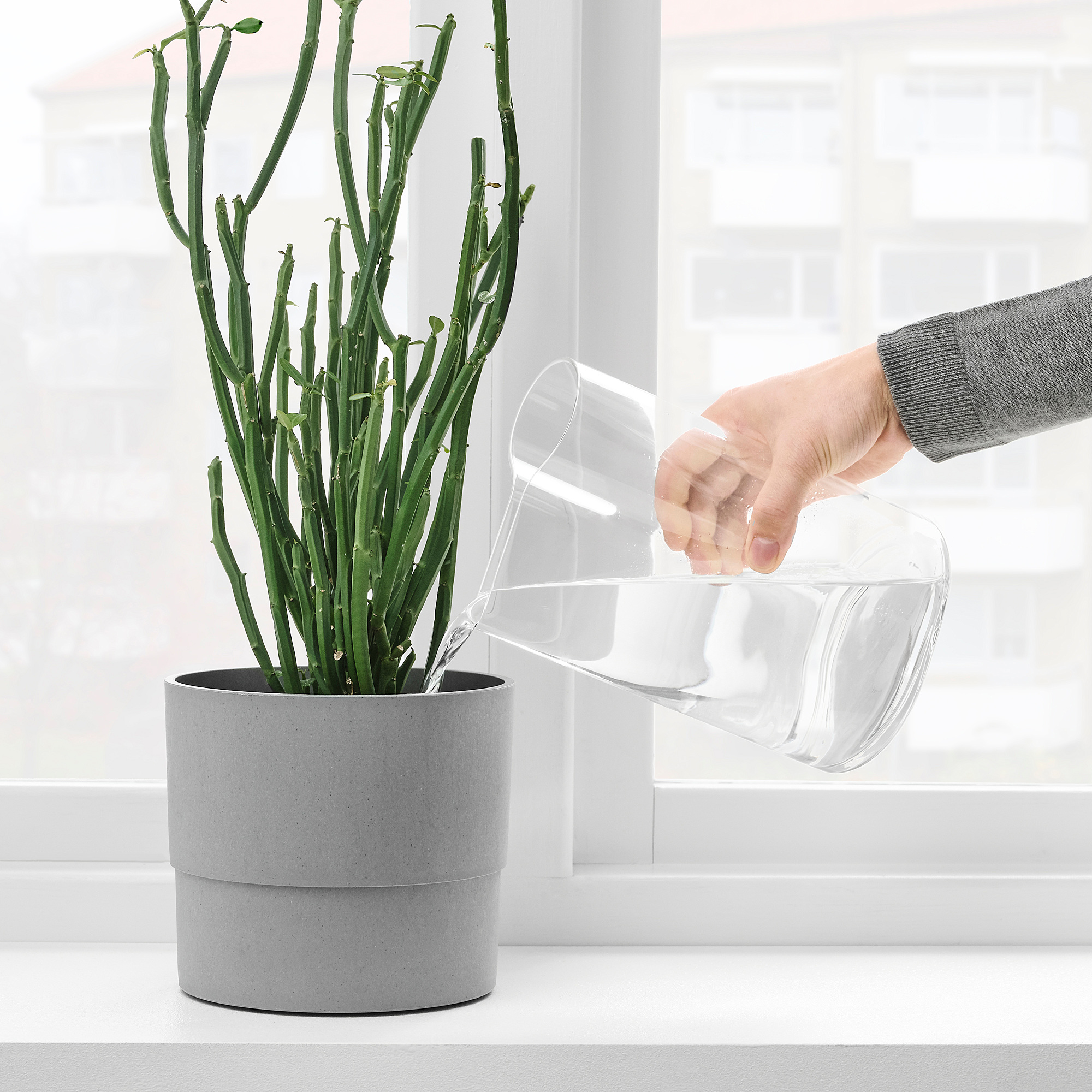 vase arrosoir
