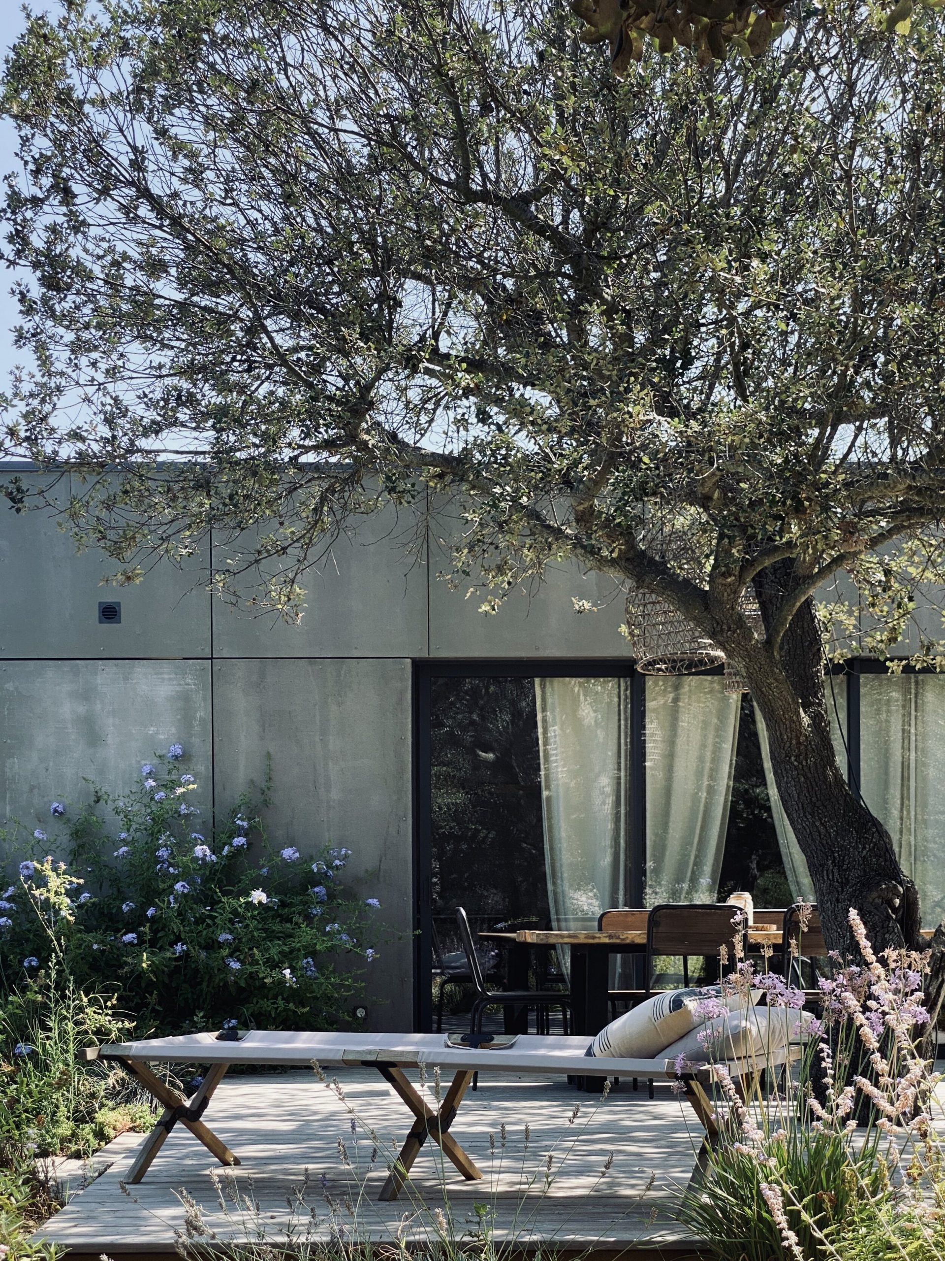 terrasse maison à l'architecture contemporaine