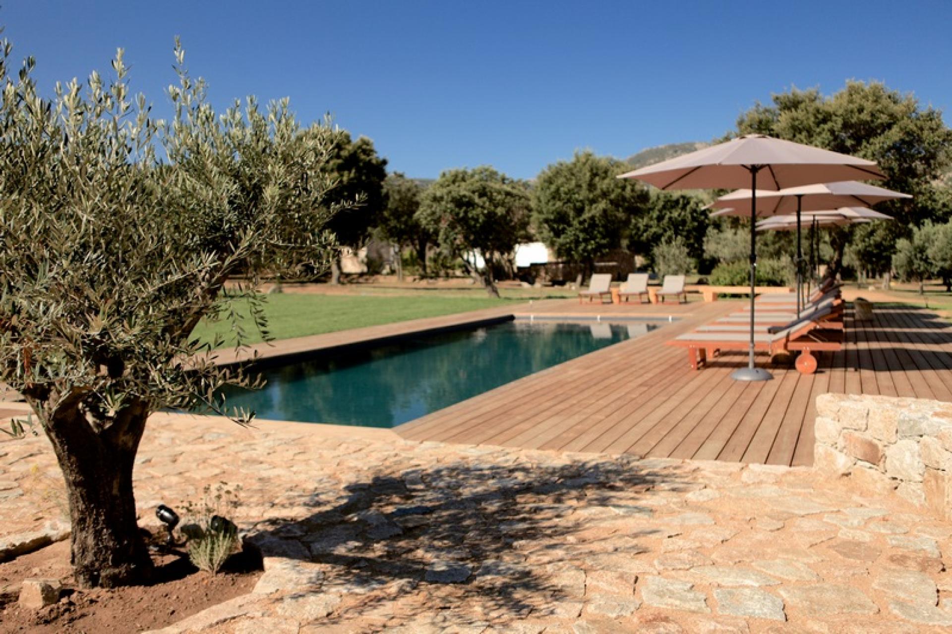 piscine maison Corse