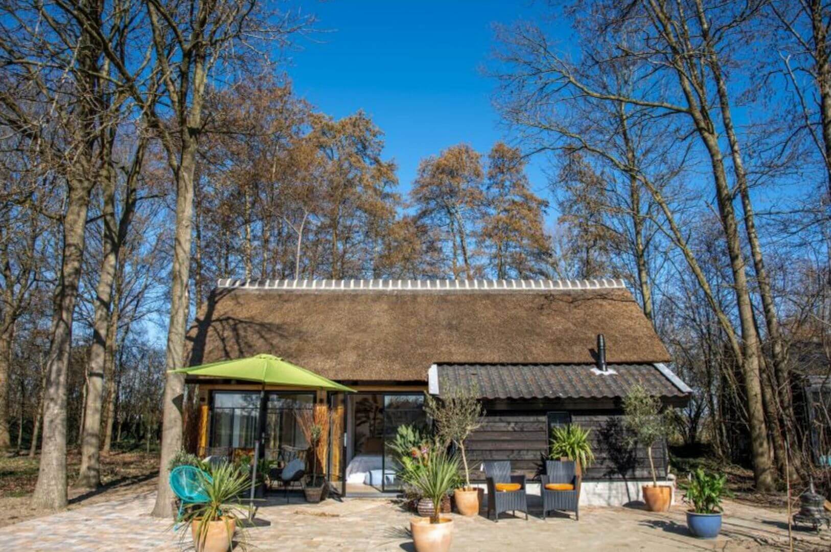 façade maison en bois avec des baies vitrées façade maison en bois avec des baies vitrées