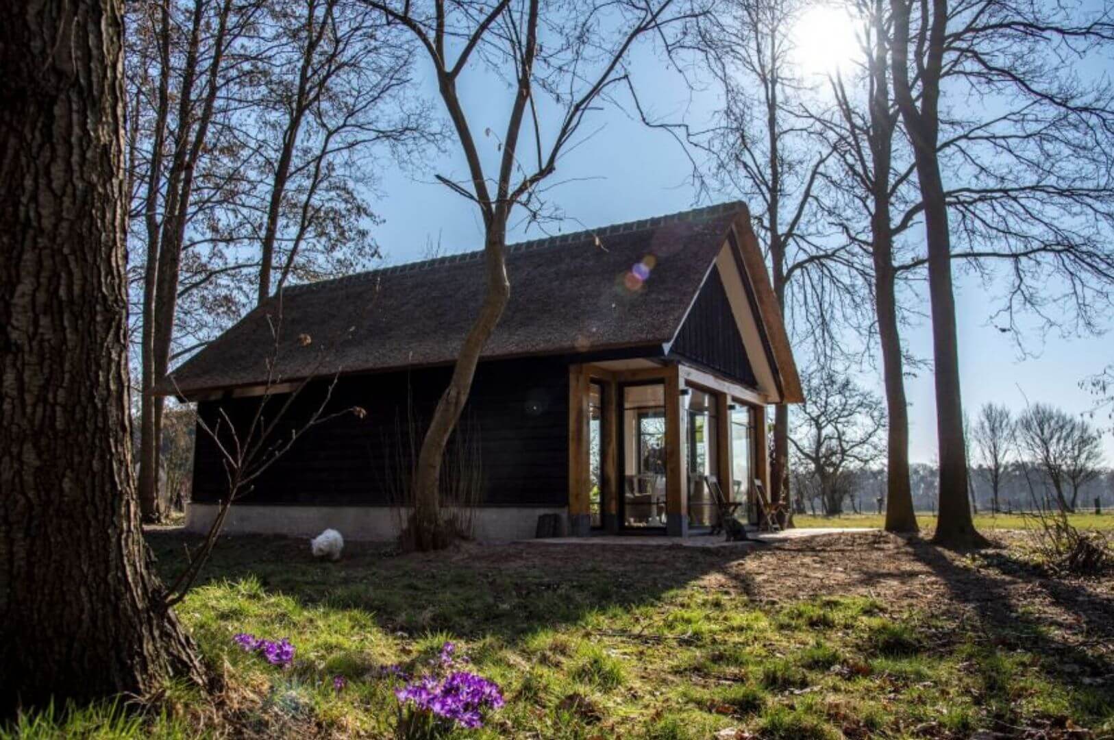 façade maison en bois avec des baies vitrées façade maison en bois avec des baies vitrées