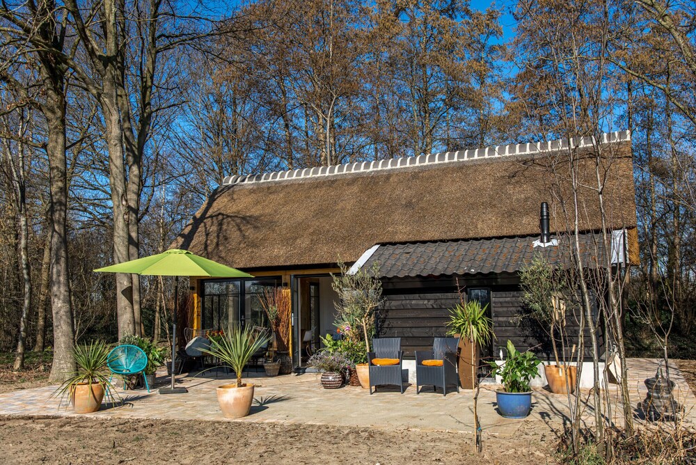 façade maison en bois avec des baies vitrées façade maison en bois avec des baies vitrées