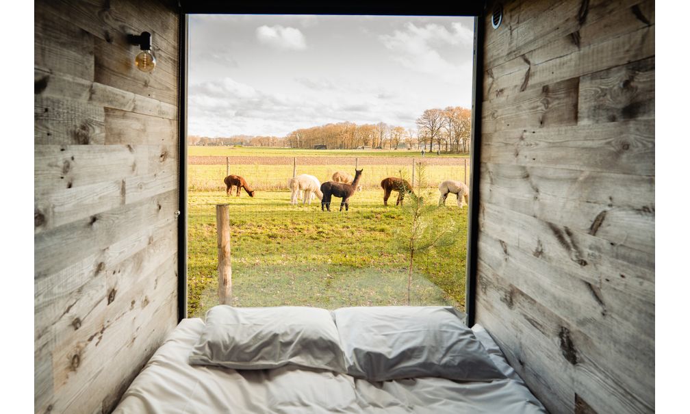 chambre vitrée chambre vitrée