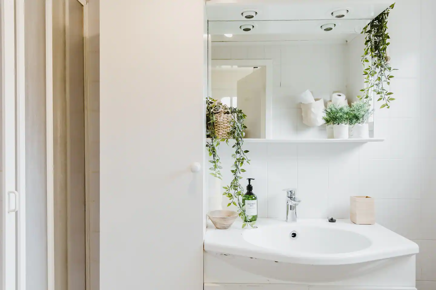 salle de bain blanche et plantes vertes salle de bain blanche et plantes vertes