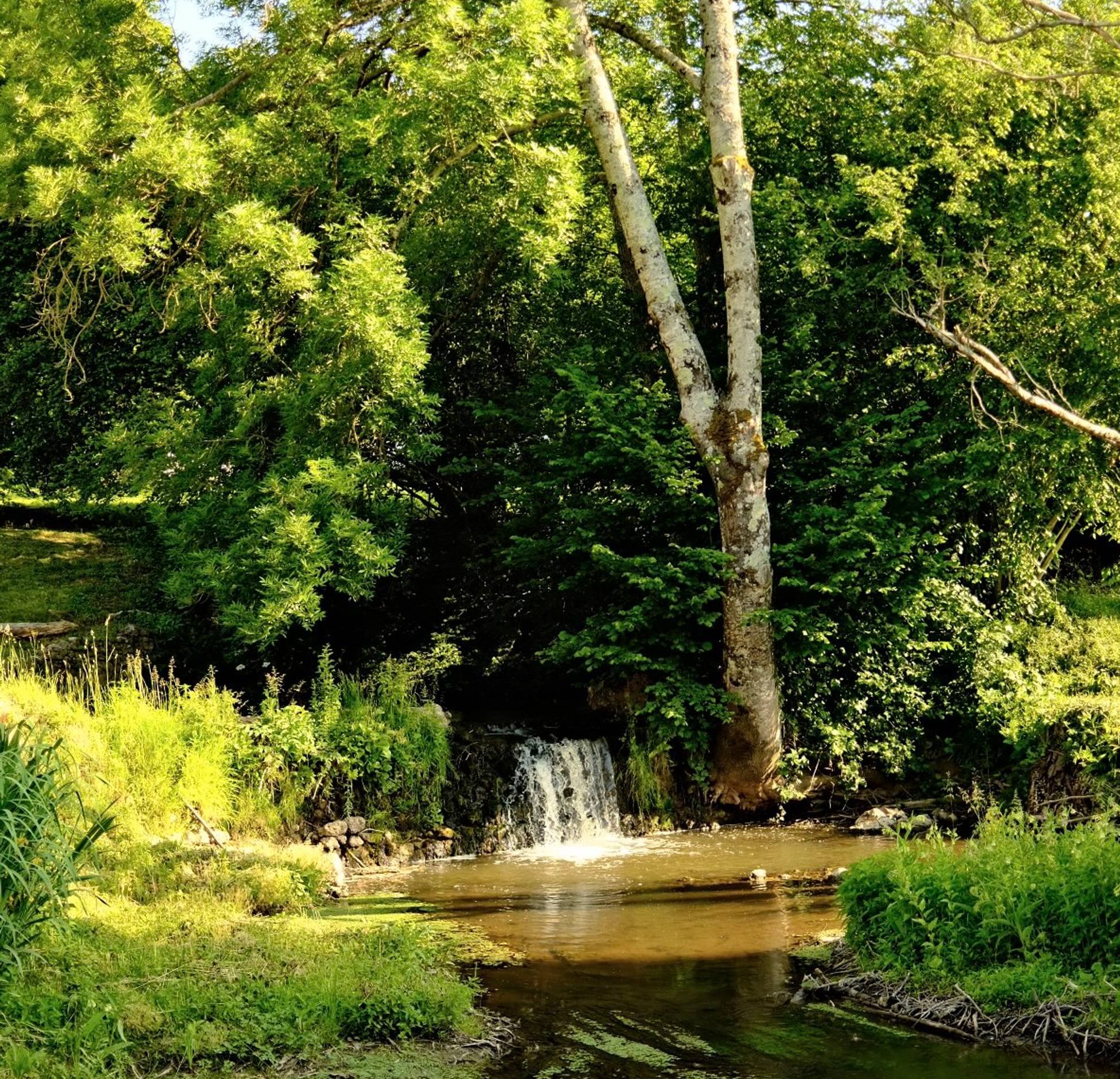 Cours d'eau le Moulin dans la Sarthe