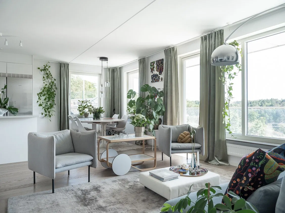 décoration plantes vertes