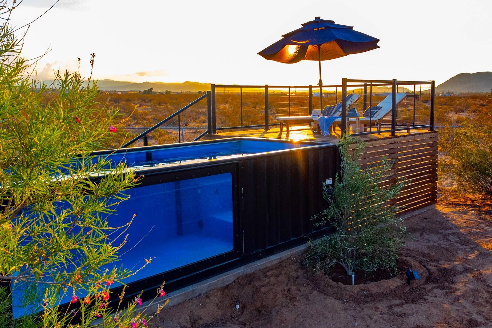 piscine container vitrée 