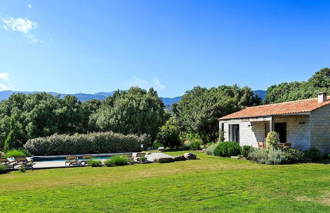 jardin bergerie contemporaine en Corse avec piscine jardin bergerie contemporaine en Corse avec piscine
