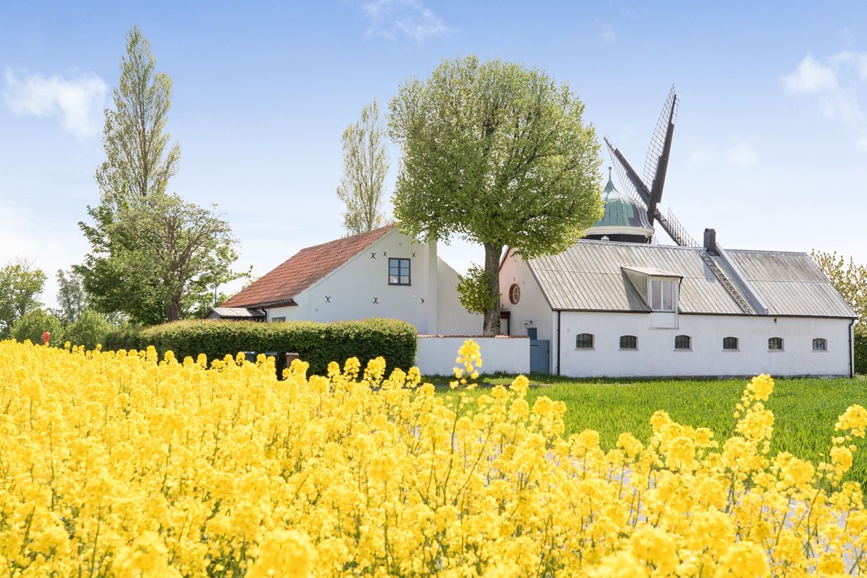 maison de campagne ancienne rénovée