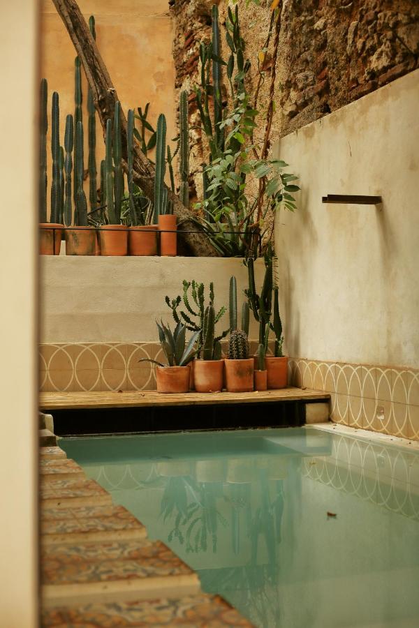 cour avec mini piscine cour avec mini piscine