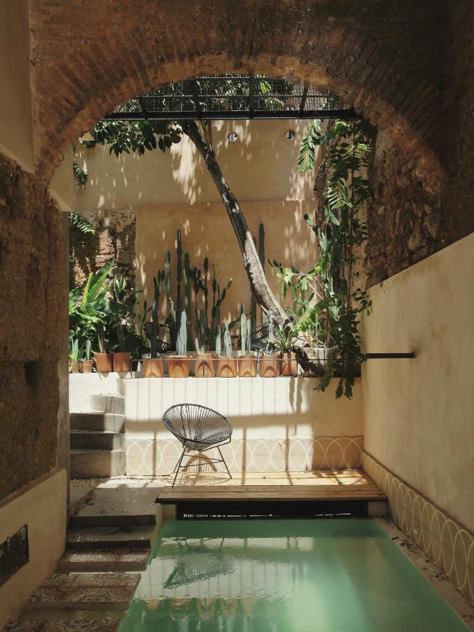 cour avec piscine cour avec piscine