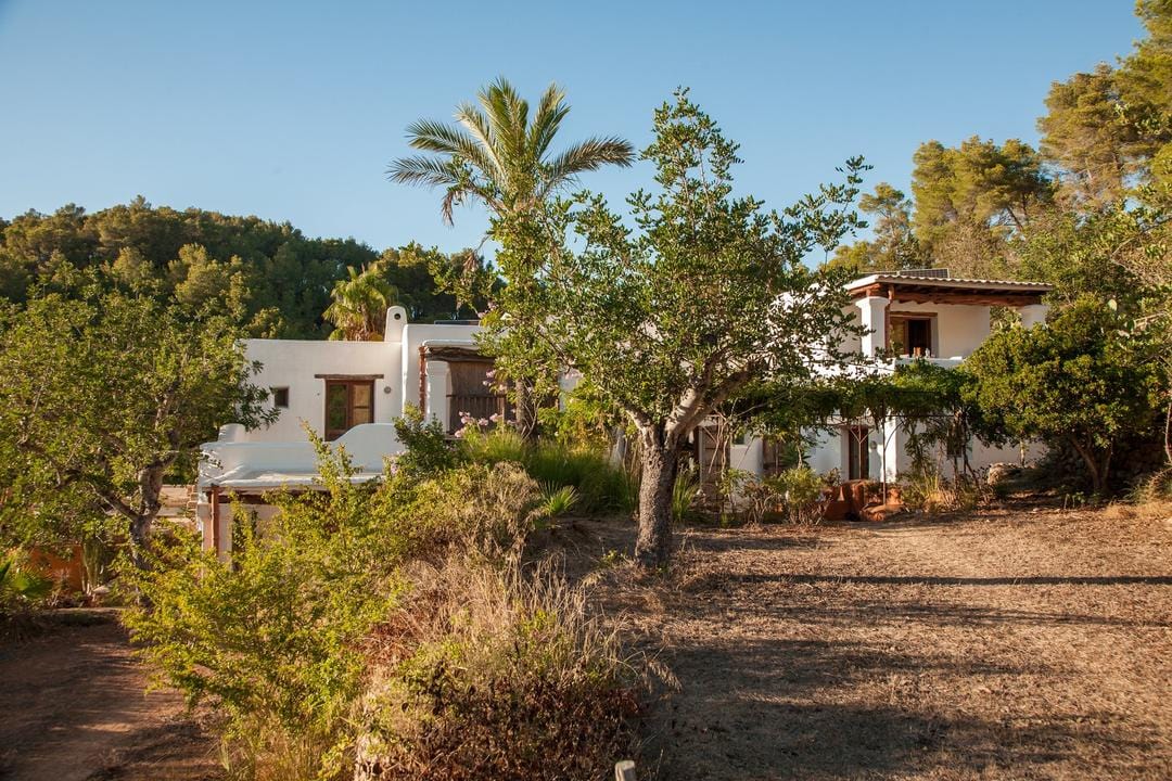 jardin Finca Can Marti Ibiza