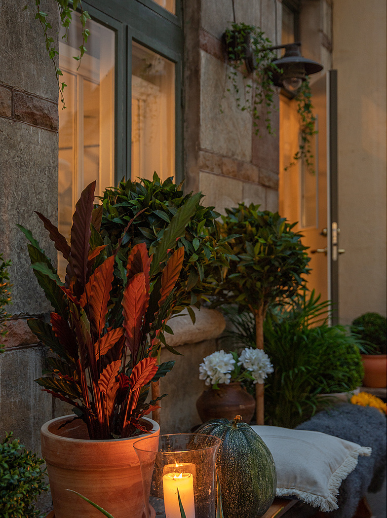 terrasse maison en pierre terrasse maison en pierre