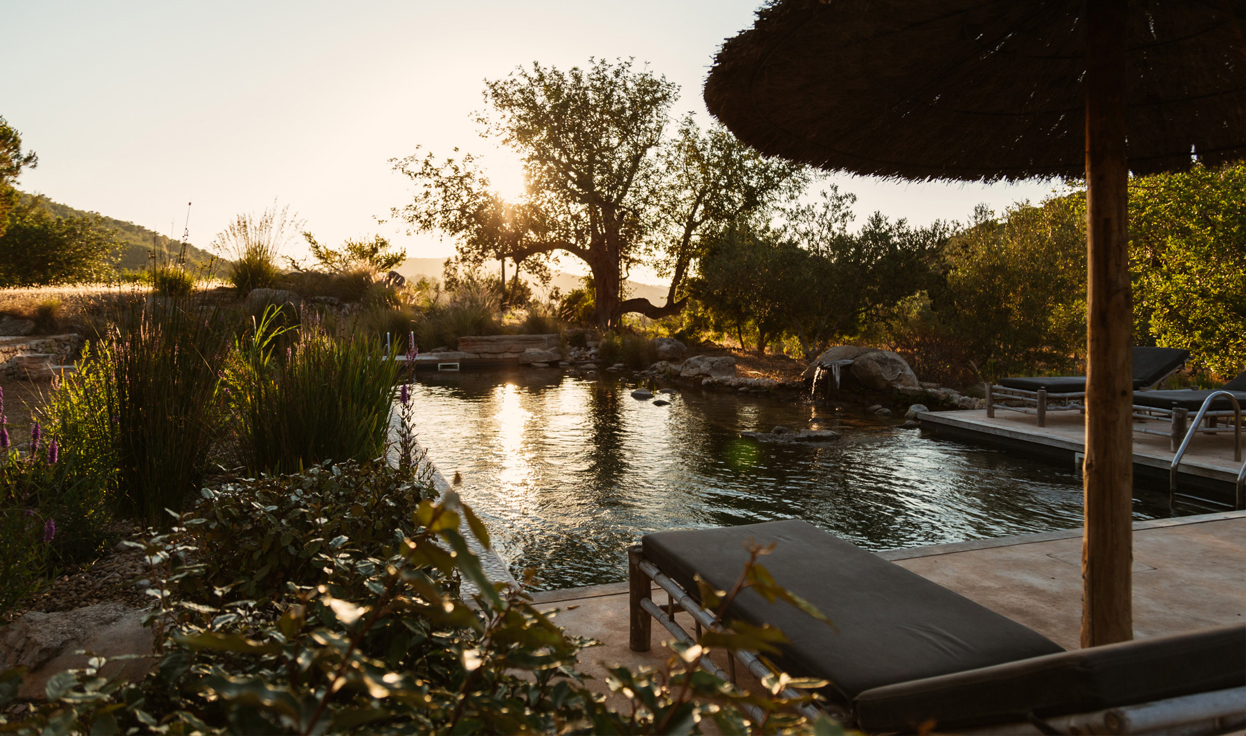 piscine Finca Can Marti