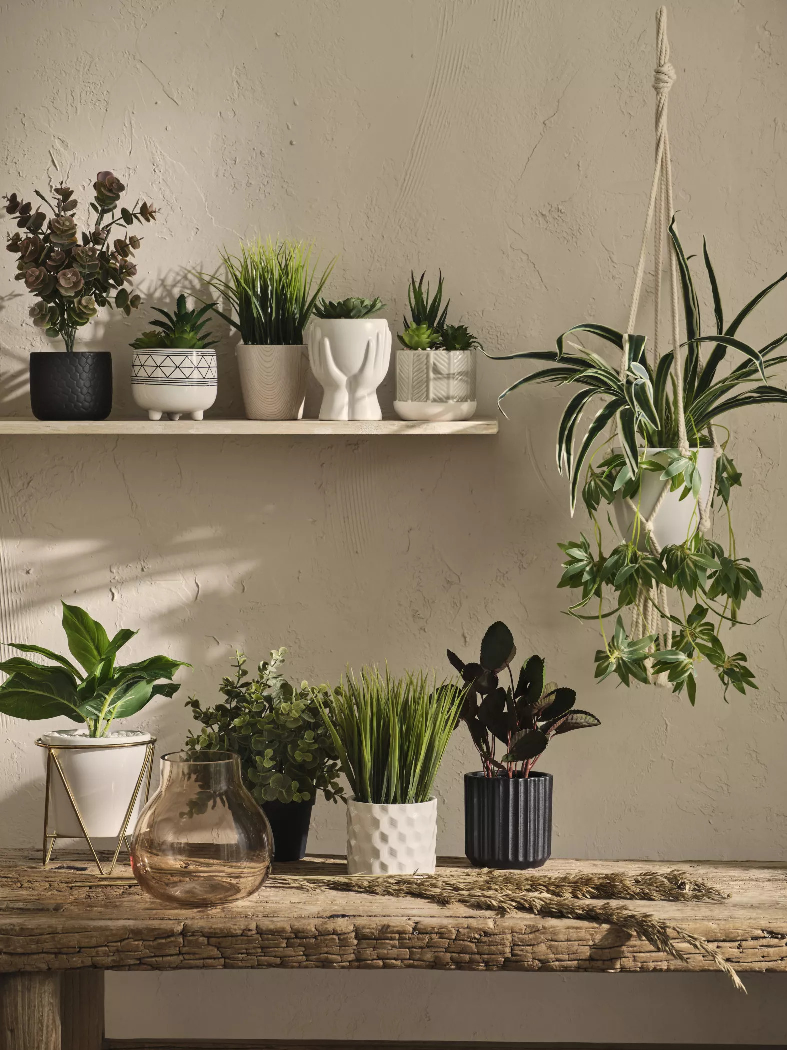 console avec plantes vertes console avec plantes vertes