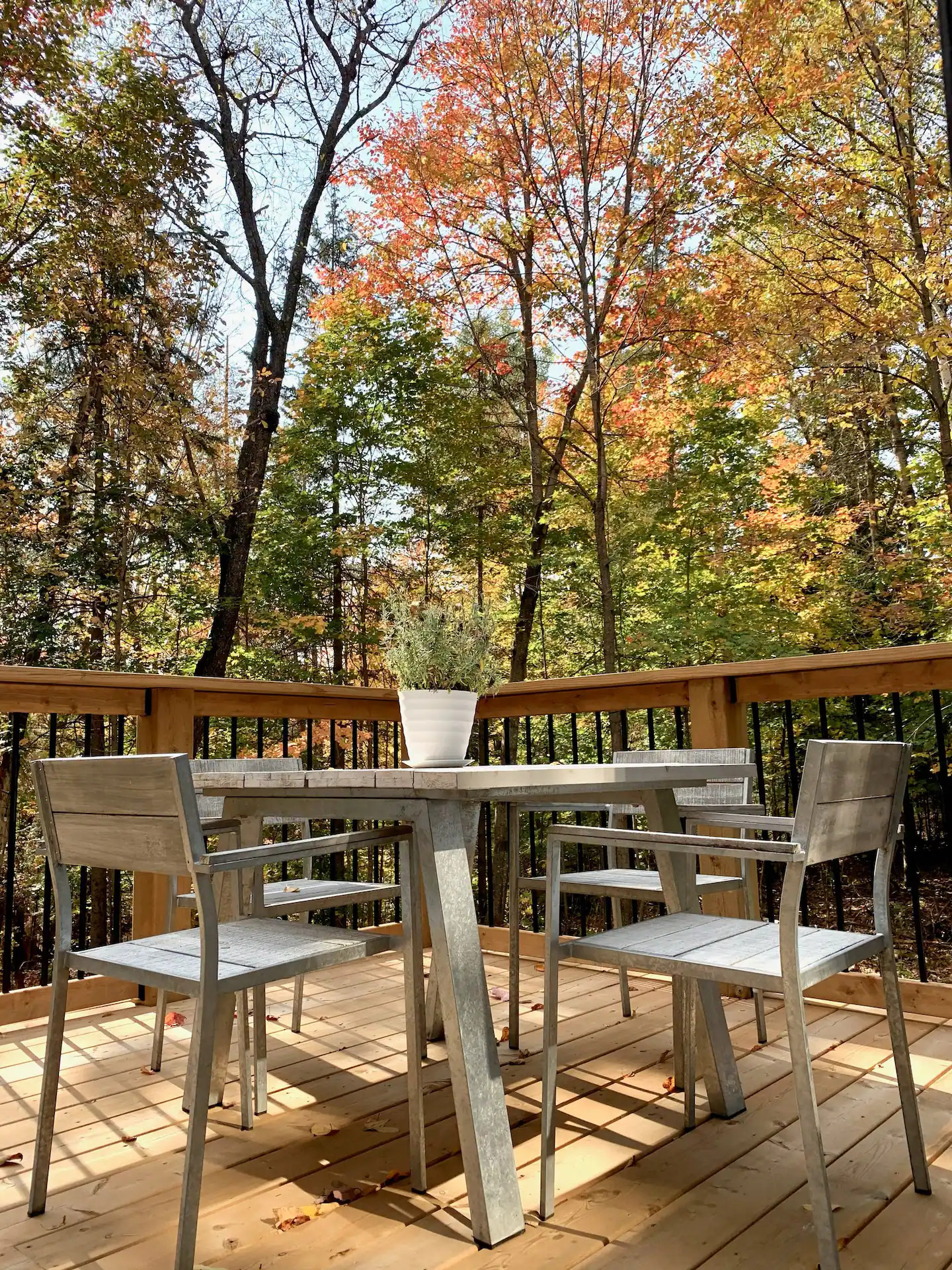 terrasse en bois