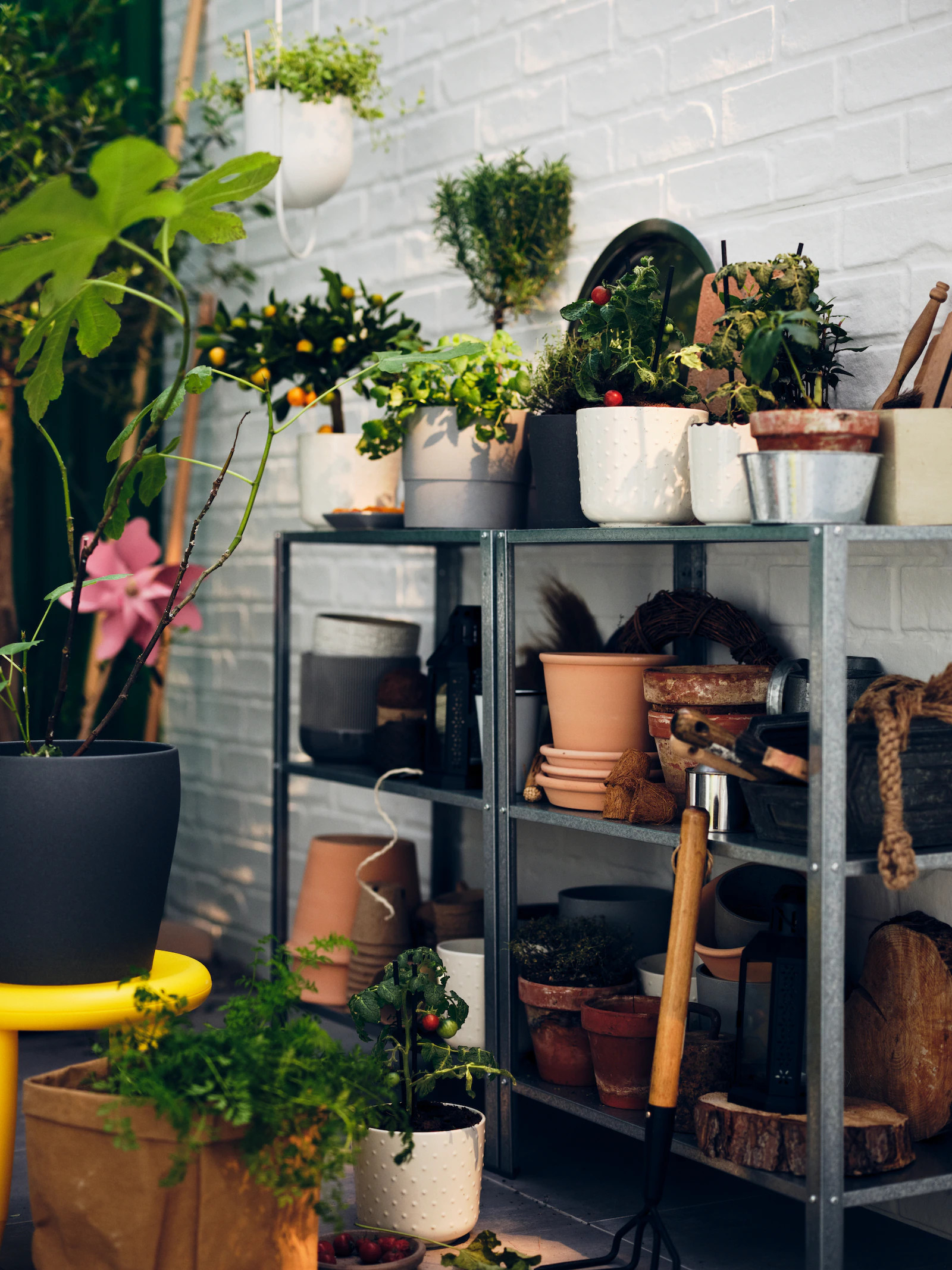 balcon avec plantes balcon avec plantes