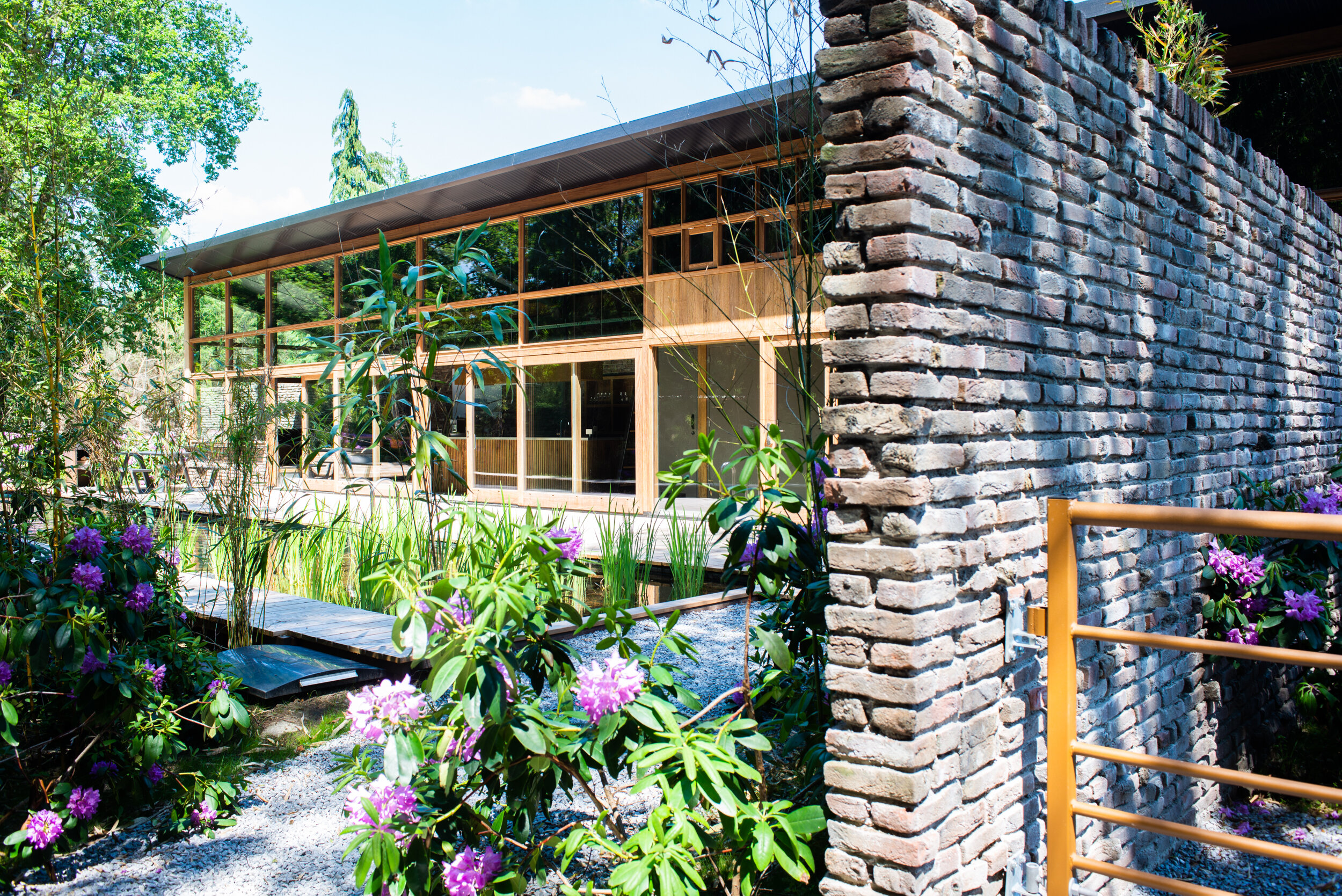 façade vitrée maison d'architecte avec piscine naturelle