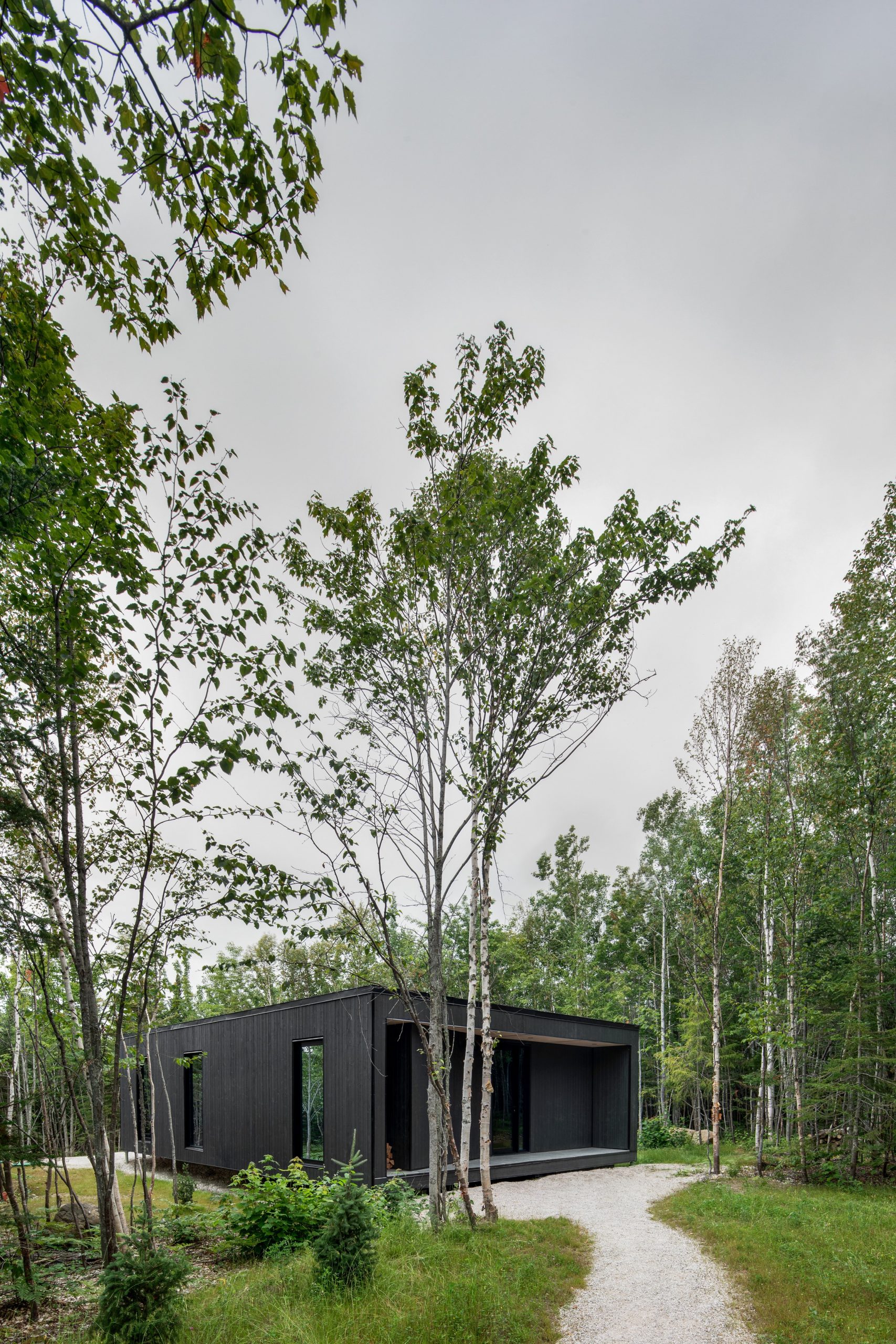 maison en bois noir