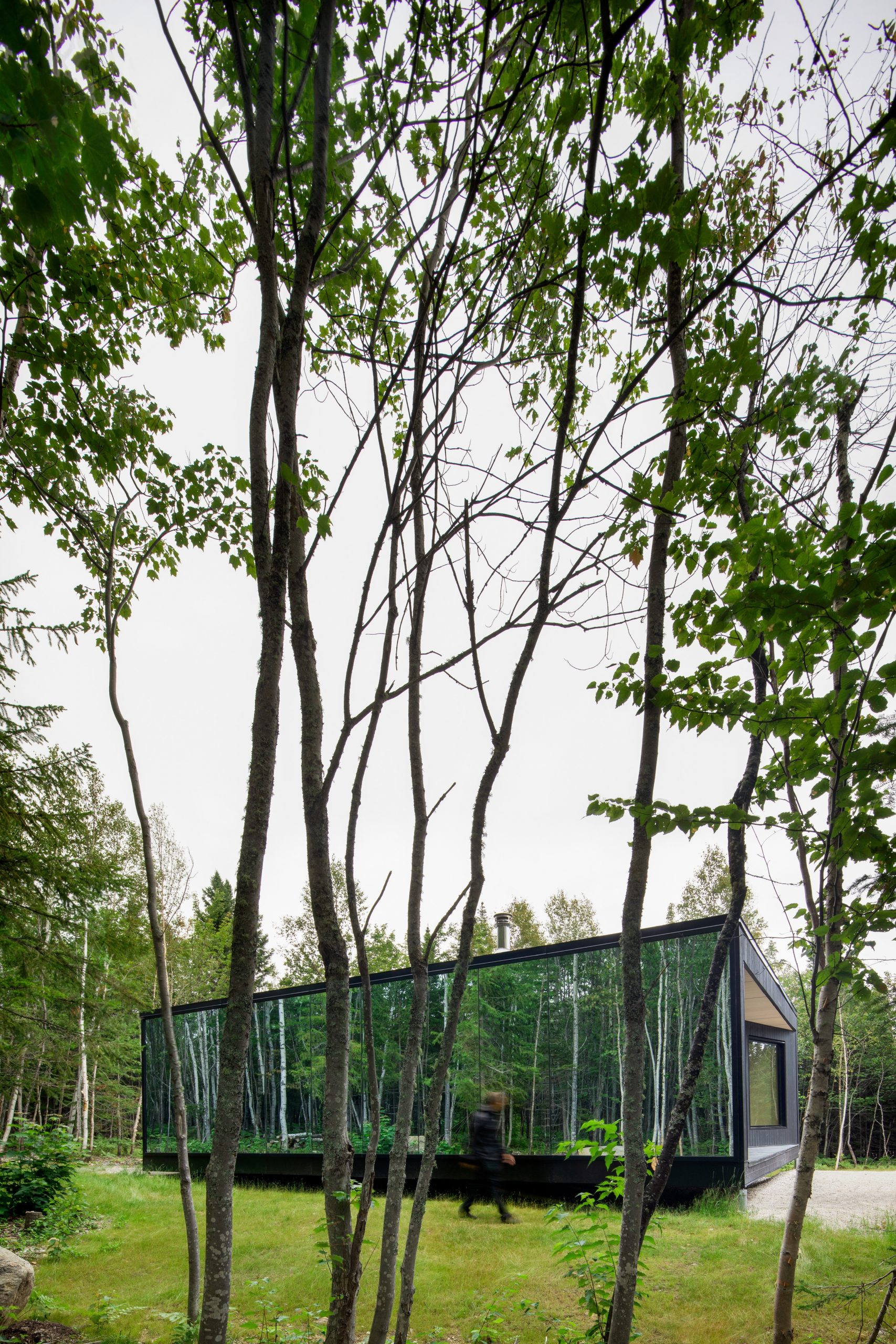 façade maison design en miroir et bois