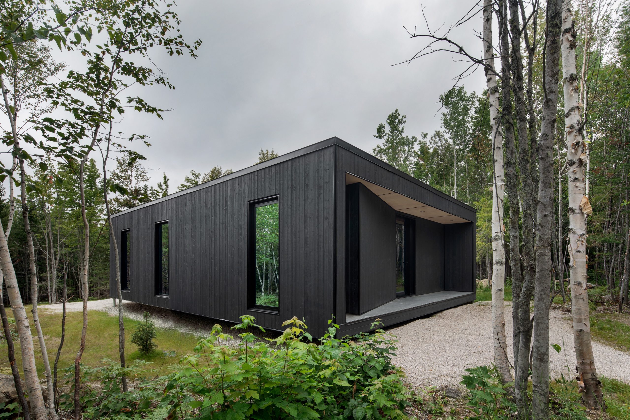maison en bois noir