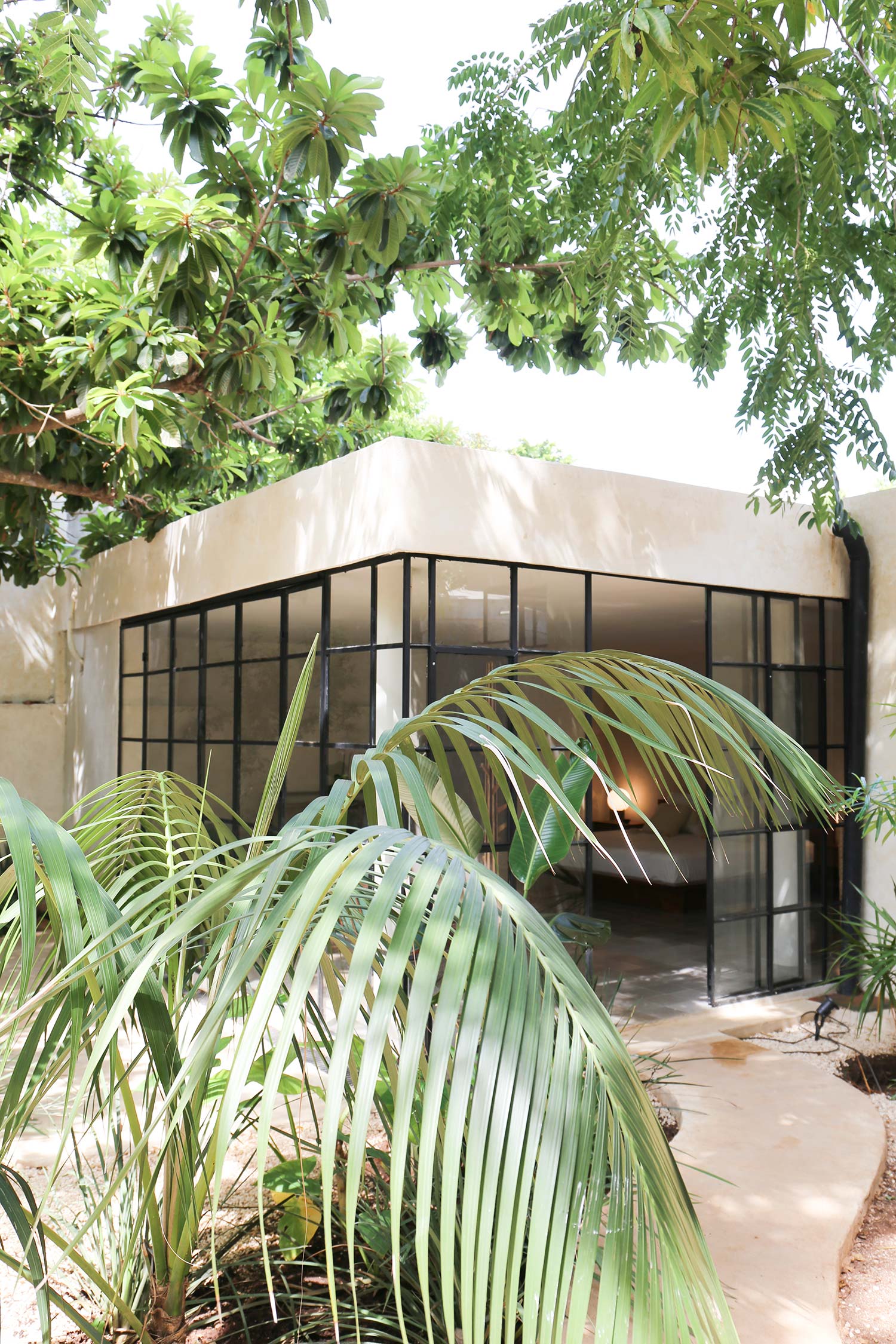 jardin maison Mexique jardin maison Mexique