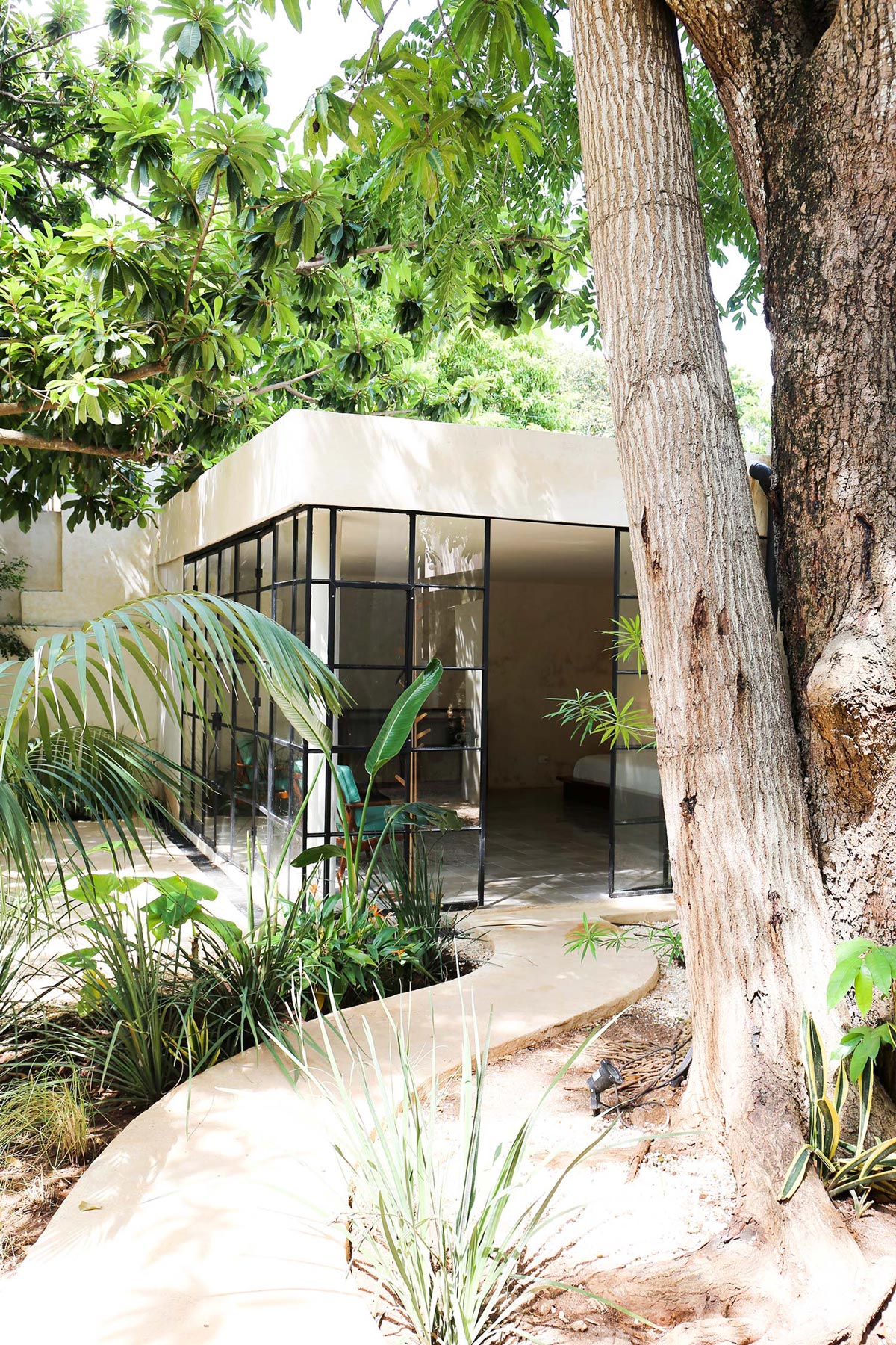 jardin maison Mexique jardin maison Mexique
