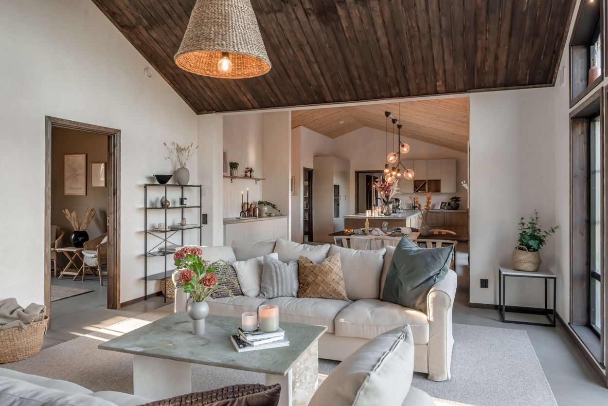salon maison en bois