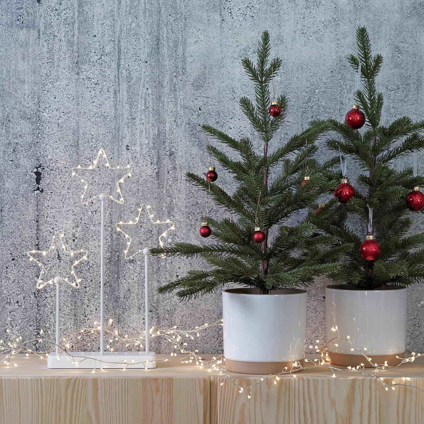 mini sapins dans pot