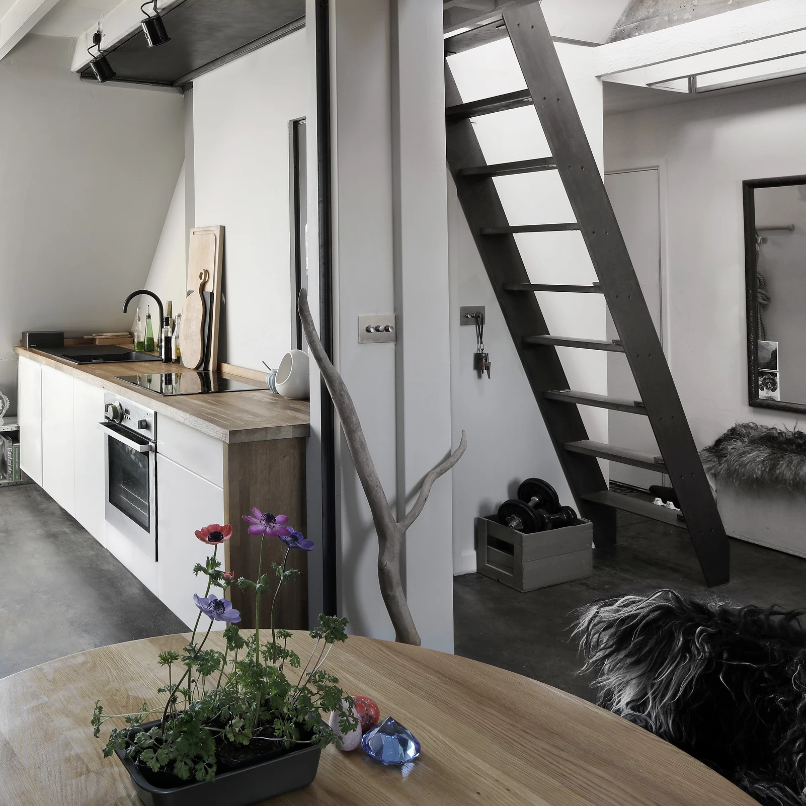 cuisine loft design cuisine loft design