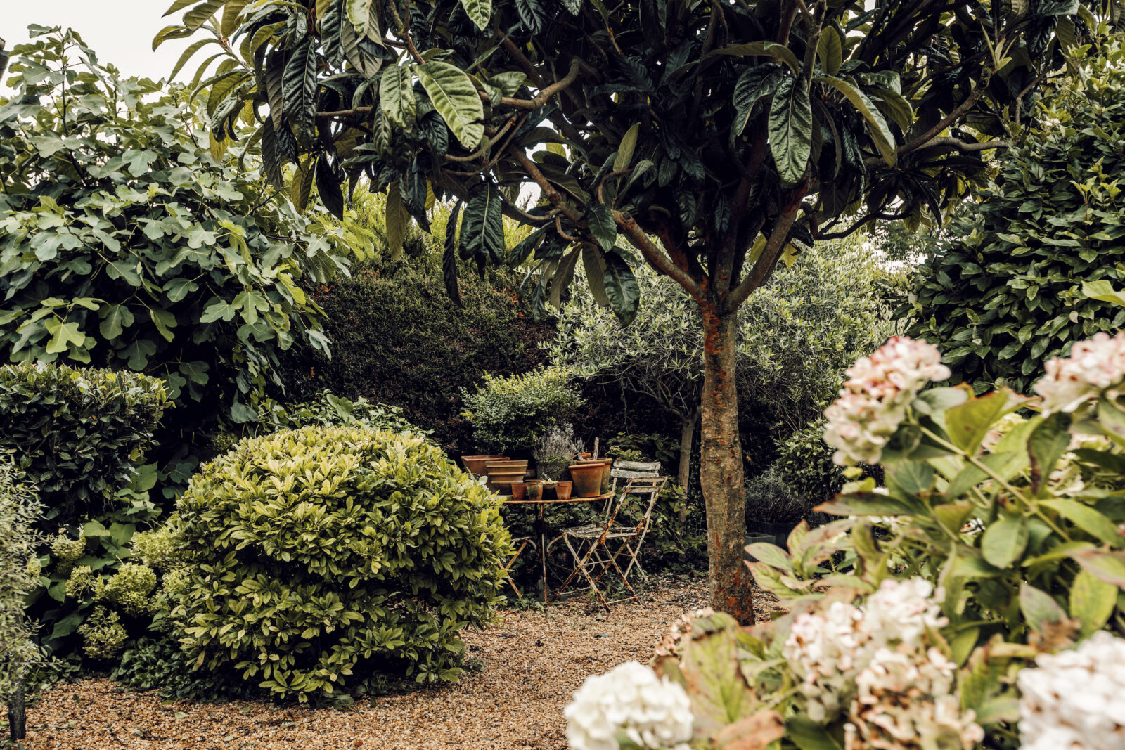 jardin en gravillons