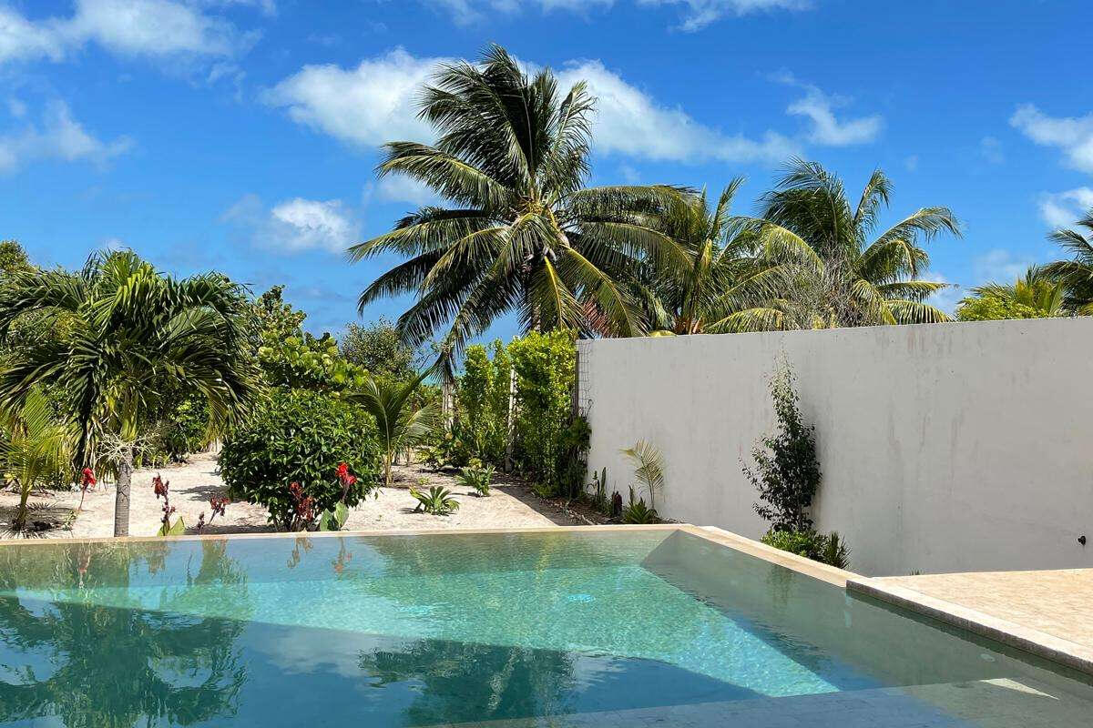terrasse avec piscine et palmiers terrasse avec piscine et palmiers