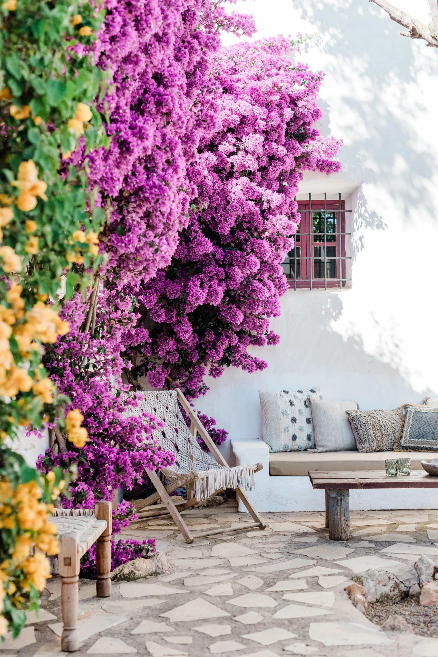 jardin avec bougainvillée jardin avec bougainvillée
