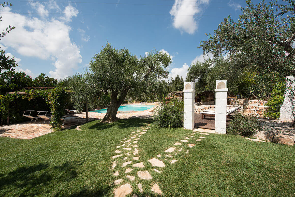jardin avec oliviers jardin avec oliviers