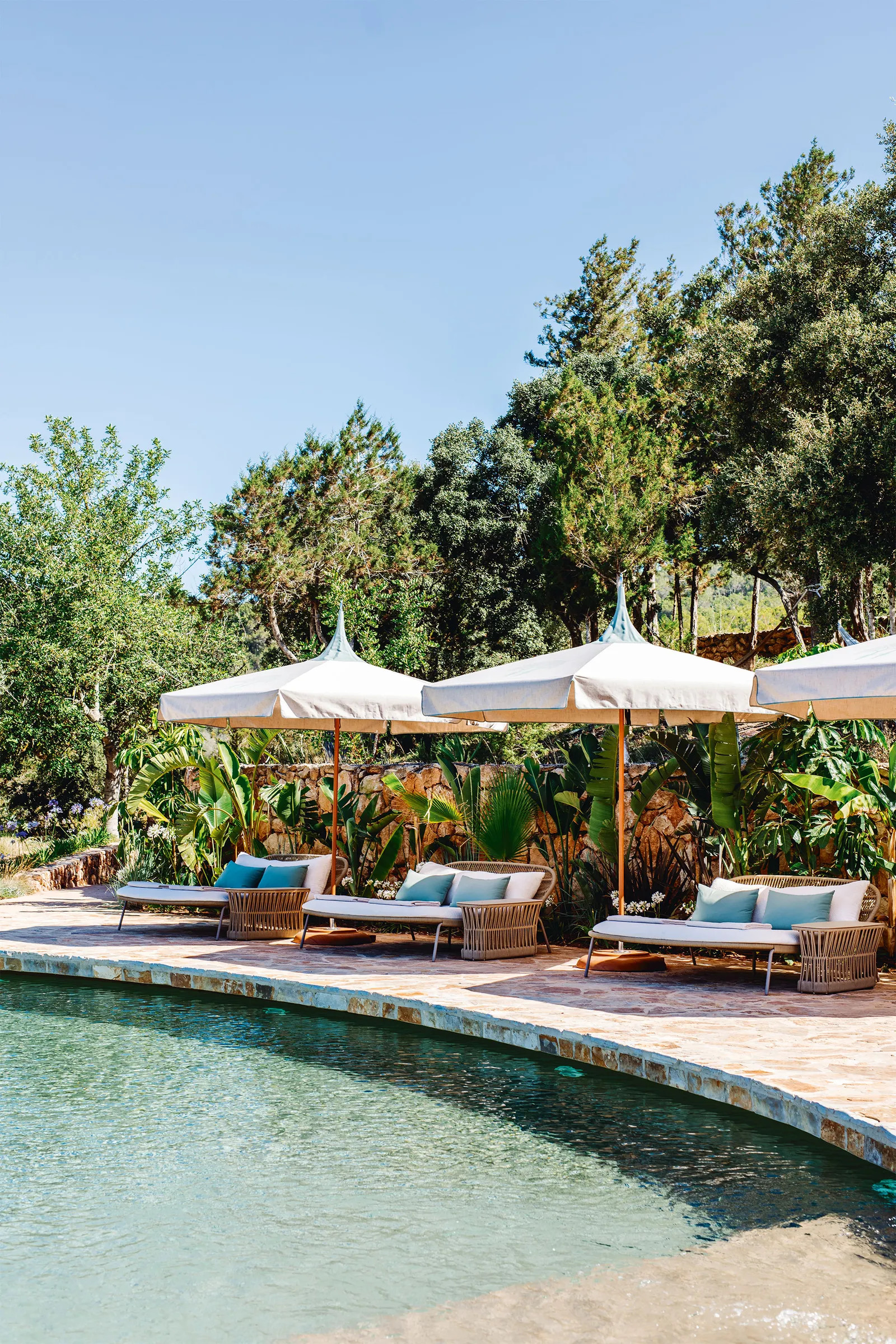 piscine Fincadelica