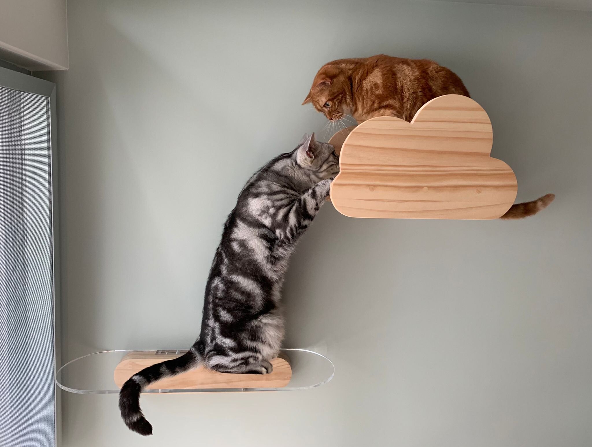 perchoirs à chat perchoirs à chat