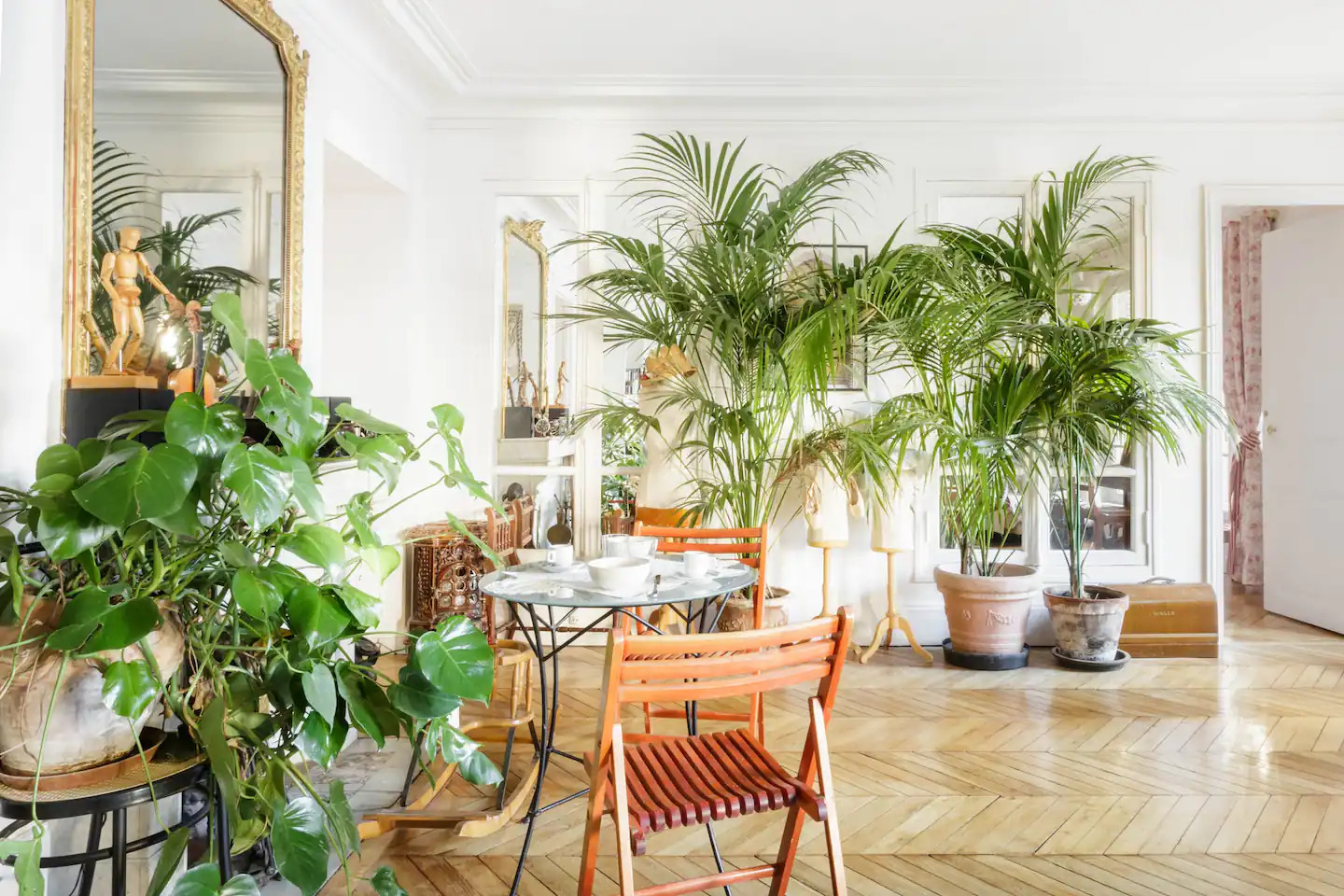 salon appartement Paris