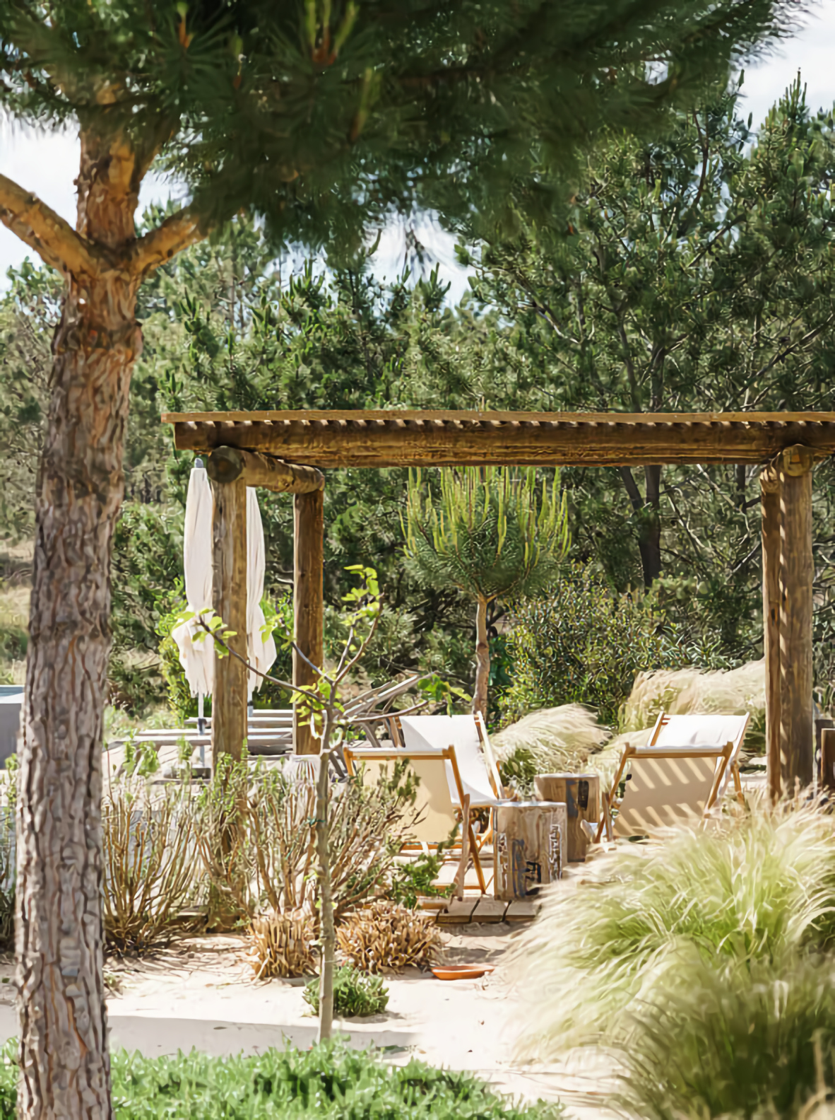 pergola bois avec canisses maison contemporaine pergola bois avec canisses maison contemporaine