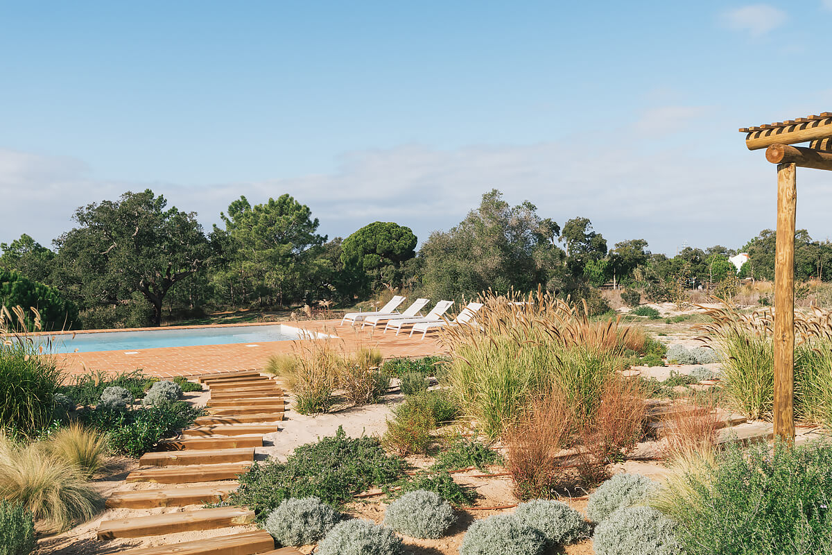 jardin avec piscine jardin avec piscine