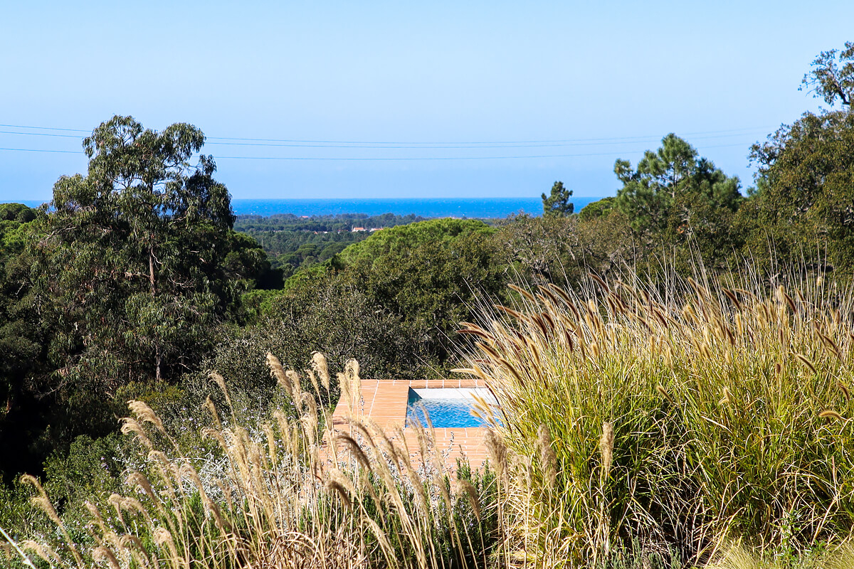jardin avec vue mer jardin avec vue mer