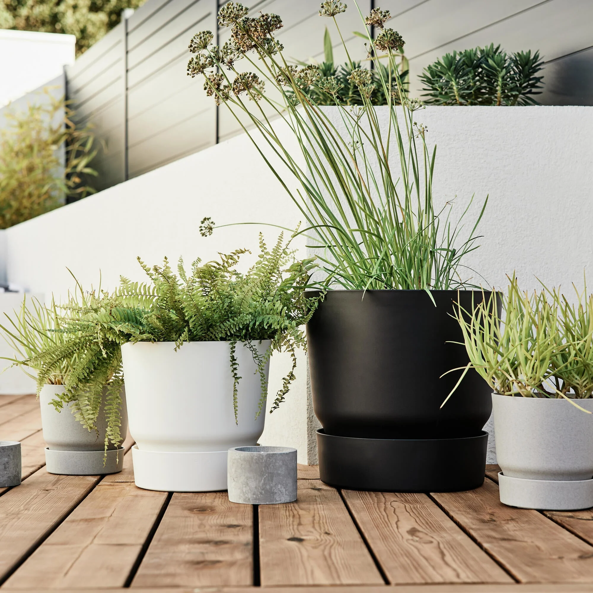 bac plantes sur terrasse bois bac plantes sur terrasse bois