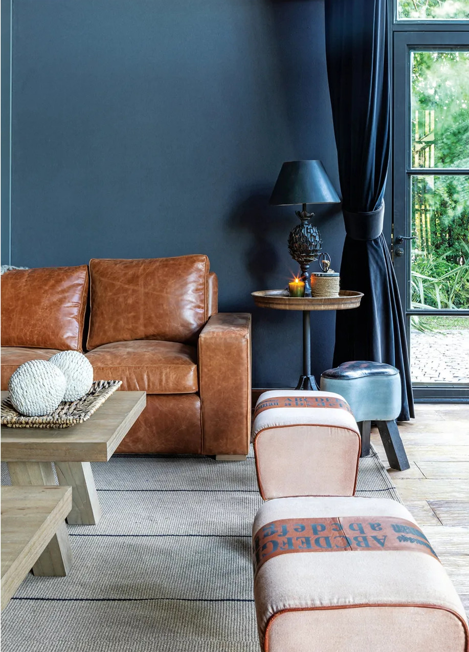 salon mur bleu